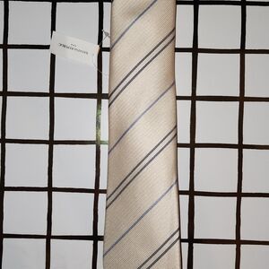 Banana Republic Beige and Gray Striped Tie